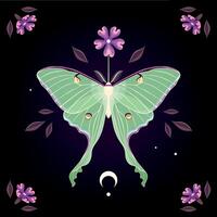 Illustration of high detailed moon moth, purple flower and moon on black background vector