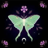 ilustración de alto detallado Luna polilla, púrpura flor y Luna en negro antecedentes vector