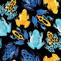 Seamless pattern with vivid tropical frogs on black background vector