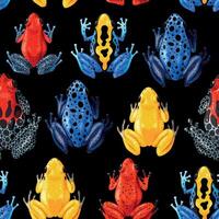 Seamless pattern with vivid tropical frogs on black background vector