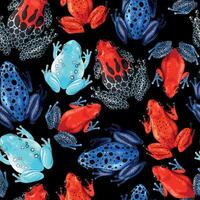 Seamless pattern with vivid tropical frogs on black background vector