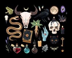 Set of high detailed black magic supplies set vector