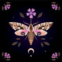 Illustration of high detailed moth, purple flower and moon on black background vector