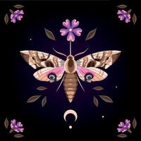 ilustración de alto detallado polilla, púrpura flor y Luna en negro antecedentes vector