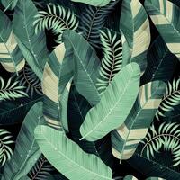 Seamless pattern with high detailed exotic palm leaves on black background vector