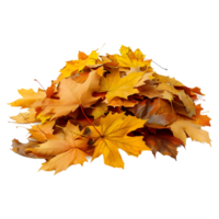 3d Rendern von ein Herbst Blätter transparent Hintergrund png