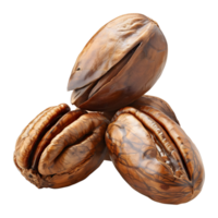 3d representación de un nueces transparente antecedentes png