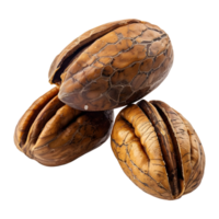 3d representación de un nueces transparente antecedentes png