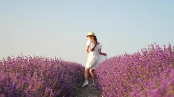 femme dans lavande champ - content Dame dans chapeau jouit ensoleillé jour, errant dans lavande champ, apprécier la nature. fille marcher au milieu de lavande fleurs, vaste champ pendant coucher de soleil, capturer la nature beauté. video