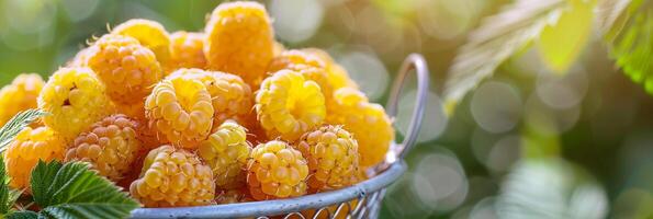 golden raspberries in a silver mesh basket, delicate and rare, soft focus background photo