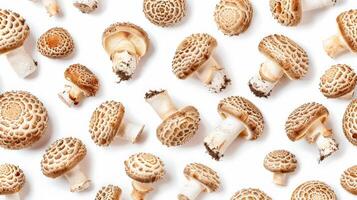 Matsutake mushrooms arranged in a natural pattern, isolated on a white background photo