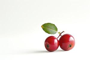 two lingonberries in a simple setting, rich red against a white background photo