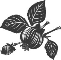silueta avellana Fruta negro color solamente vector