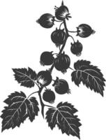 Silhouette Hazelnut fruit black color only vector