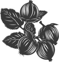 Silhouette Hazelnut fruit black color only vector