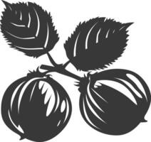 silueta avellana Fruta negro color solamente vector