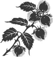 silueta avellana Fruta negro color solamente vector