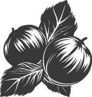 silueta avellana Fruta negro color solamente vector