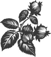 Silhouette Hazelnut fruit black color only vector