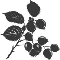 Silhouette Hazelnut fruit black color only vector