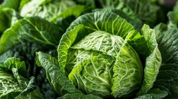 Fresh green cabbage heads with detailed leaves, suitable for culinary themes, vegan diets, and farm to table concepts, perfect for World Vegetarian Day photo