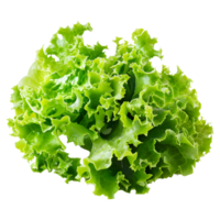 3D Rendering of a Green Lettuce on Transparent Background png