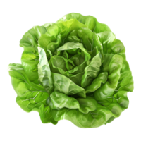 3D Rendering of a Green Lettuce on Transparent Background png