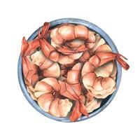 Peeled boiled shrimp, boiled with tails in a ceramic bowl, top view. Watercolor illustration. A composition from the SHRIMP collection. For the design of menus, recipes, cafes, restaurants, packaging vector