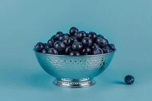 blueberries in a silver bowl isolated on a blue gradient background photo