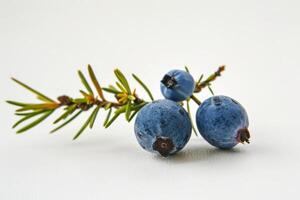 two juniper berries, elegant simplicity, isolated on a clean white background photo