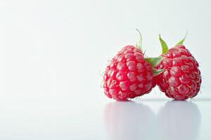 two ripe raspberries in sharp focus, contrasting against a white background photo