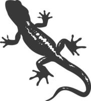 Silhouette salamander animal black color only vector