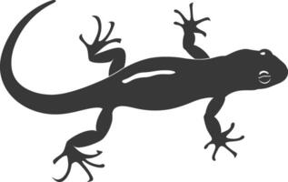 Silhouette salamander animal black color only vector