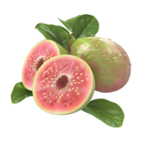 3d renderen van een rood guava met bladeren Aan transparant achtergrond png