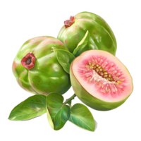 3d Rendern von ein rot Guave mit Blätter auf transparent Hintergrund png