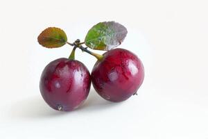 two saskatoon berries, rustic charm against a white background photo