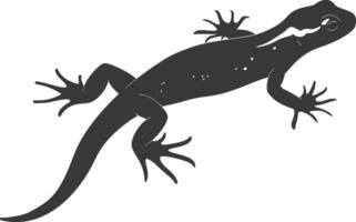 Silhouette salamander animal black color only vector