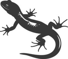 Silhouette salamander animal black color only vector