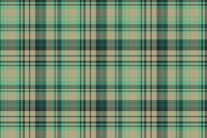 Tartan or plaid winter color pattern. vector