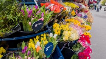 Colorful tulips on display at a flower market, priced at 599, ideal for spring holidays like Easter and Mothers Day photo