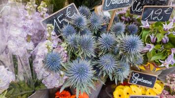 clasificado Fresco flores con precio etiquetas a un europeo mercado, exhibiendo vibrante eringium, simbolizando madres día y floral arreglo conceptos foto