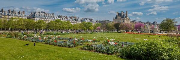 Panoramic view of the vibrant Tuileries Garden in spring with blooming flowers and Parisian architecture, perfect for travel and Earth Day themes photo
