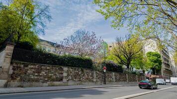 Spring cityscape with blossoming trees and traffic on a peaceful urban street, ideal for travel and seasonal themes, particularly Easter and Earth Day photo