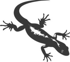 Silhouette salamander animal black color only vector