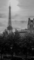 Monochrome Eiffel Tower looming over Parisian spring foliage, urban European architecture, shot in Paris, France, on April 14th, 2024, ideal for travel and culture themes photo