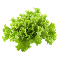 3D Rendering of a Green Lettuce on Transparent Background png