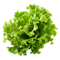 3D Rendering of a Green Lettuce on Transparent Background png