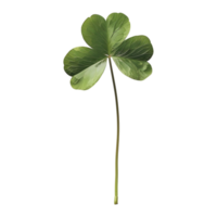 3D Rendering of a Clover Leaf on Transparent Background png