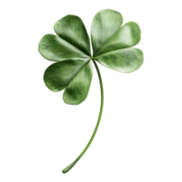 3D Rendering of a Clover Leaf on Transparent Background png