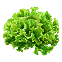 3d representación de un verde lechuga en transparente antecedentes png